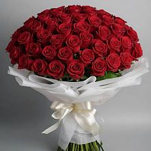 Букет 101 Красная роза Блэк Мэджик в Акуше