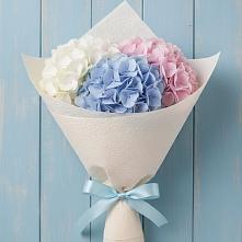 Букет цветов из:  Гортензия в Акуше
