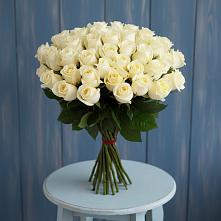 Букет 51 Белая роза Эдлесс Лав #REPLACE_PRED# Акуше