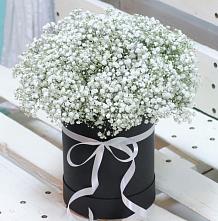 Цветочная композиция из Гипсофила в шляпной коробке в Акуше