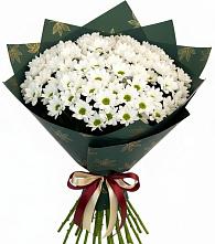 Букет цветов из:  Хризантемы #REPLACE_PRED# Акуше