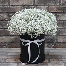 Цветочная композиция из Гипсофила в шляпной коробке #REPLACE_PRED# Акуше