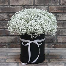 Цветочная композиция из Гипсофила в шляпной коробке в Акуше