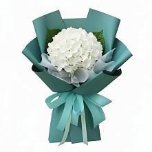 Букет цветов из:  Гортензия в Акуше